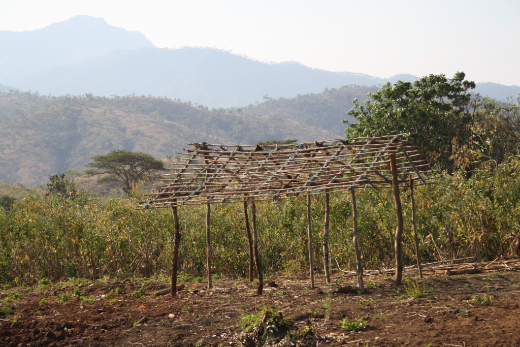 4 Dinge, die Iringa so besonders machen MIMI IN WANDERLAND